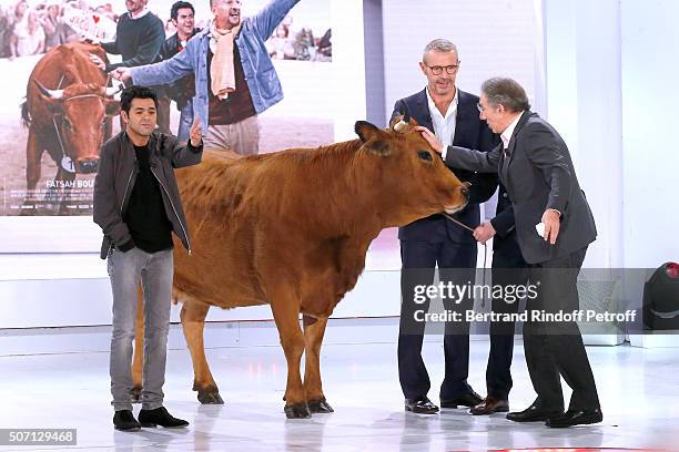 Actors Jamel Debbouze, Lambert Wilson, Fatsah Bouyahmed, Presenter of the show Michel Drucker and a cow present the Movie 'La Vache' during the...