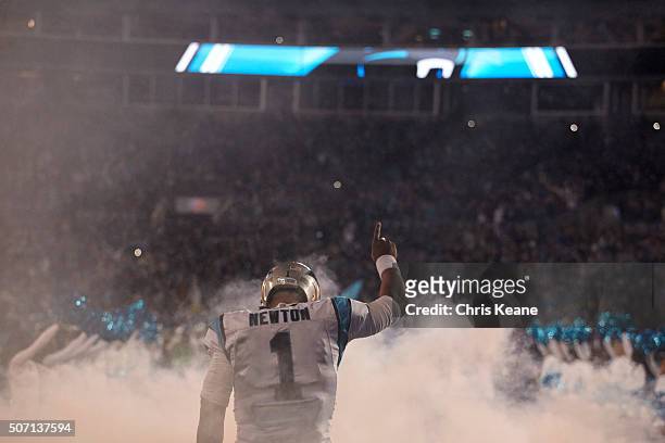 Playoffs: Rear view of Carolina Panthers QB Cam Newton exiting tunnel onto field before game vs Arizona Cardinals at Bank of America Stadium....