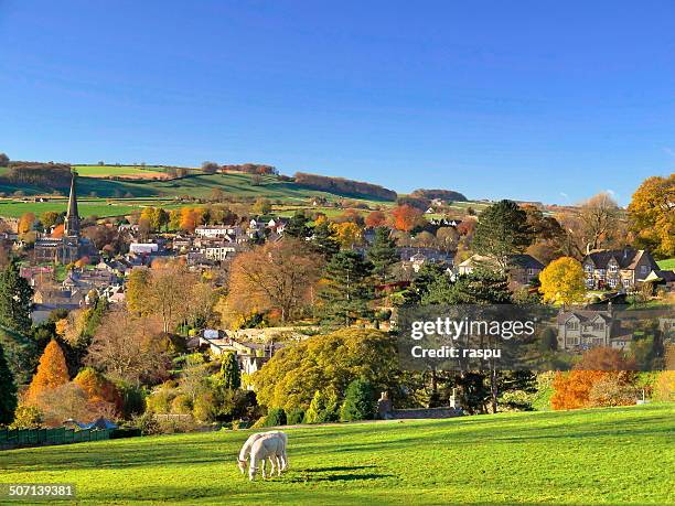 llamas gazing in the peak district - derbyshire stock-fotos und bilder