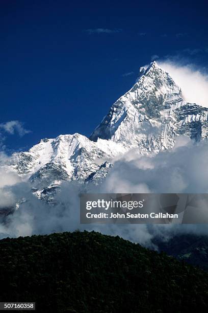 machapuchare - machapuchare stock pictures, royalty-free photos & images