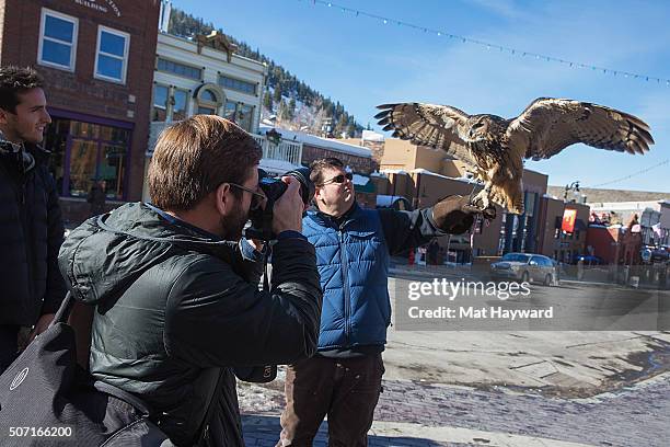 Getty Images Photographer Rick Kern photographs Eric McGill and Eagle Owl Bubo or Earthwings.org on Main Street during the Sundance Film Festival on...