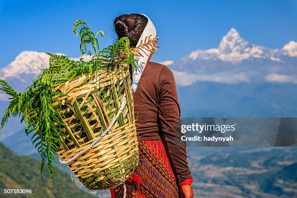 nepali woman looking at machapuchare, pokhara, nepal - nepal pokhara stock pictures, royalty-free photos & images