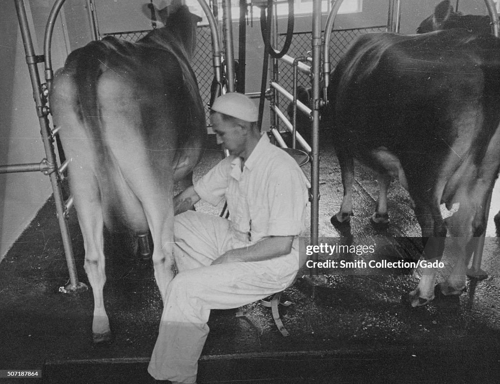 Automatic Milker