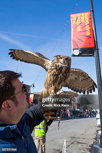 Eric McGill and Bubo the Eagle Owl of Earthwings.org are seen during the Sundance Film Festival on January 27, 2016 in Park City, Utah.