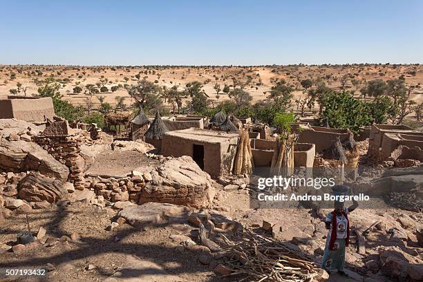 Dogon village on January 21, 2010 in the Land of Dogon, Mopti region, Mali. Dozens of villages are located along the Cliff of Bandiagara, where the...