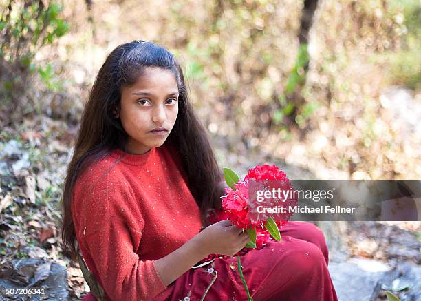 nepali girl with rhododendron - michael virtue stock pictures, royalty-free photos & images