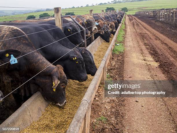 agriculture tech - adalbertop stock pictures, royalty-free photos & images