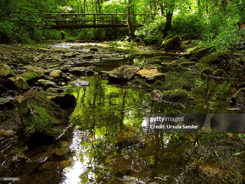 Creek with wooden bridge in forest