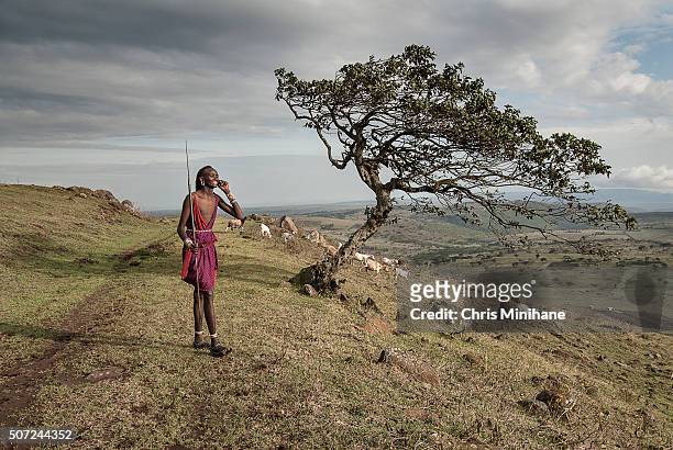 african maasai man speaks on a cell phone. - アフリカ 原住民 ストックフォトと画像