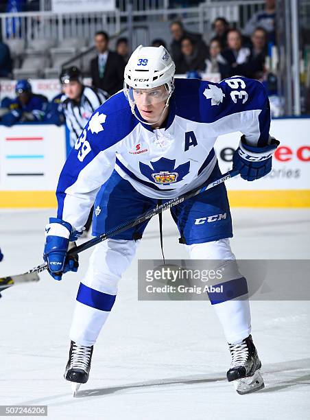 Matt Frattin of the Toronto Marlies prepares for a face-off against the Utica Comets on January 24, 2016 at the Ricoh Coliseum in Toronto, Ontario,...