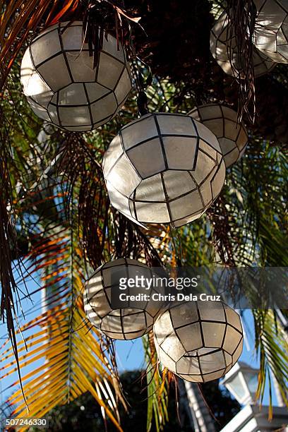 capiz shell lanterns hanging on palm tree - leuchtgeschoss stock-fotos und bilder
