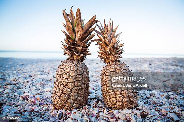 Pinaple Shell Pineapple Shell Photos and Premium High Res Pictures - Getty Images