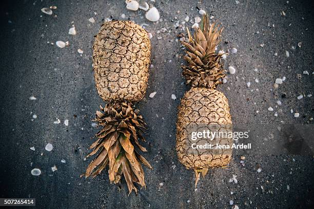 Pinaple Shell Pineapple Shell Photos and Premium High Res Pictures - Getty Images