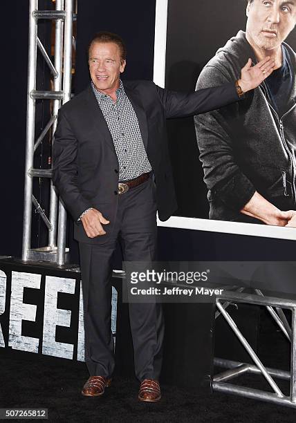 Actor/former governor Arnold Schwarzenegger arrives at the premiere of Warner Bros. Pictures' 'Creed' at Regency Village Theatre on November 19, 2015...