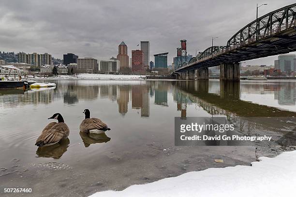 snow along banks of willamette river - willamette river stock pictures, royalty-free photos & images