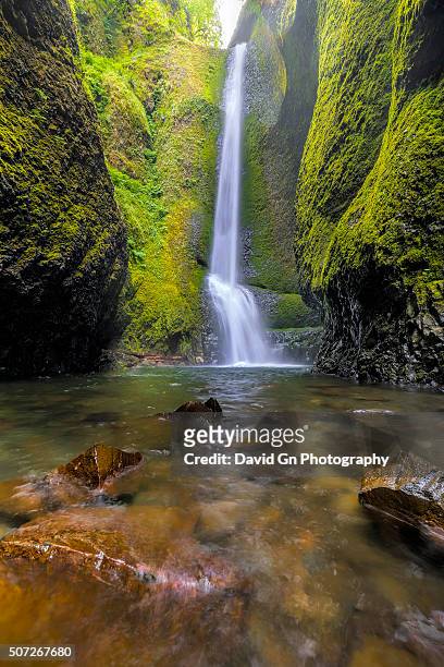 oneonta falls - oneonta falls stock pictures, royalty-free photos & images