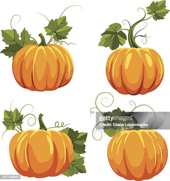 illustrazioni stock, clip art, cartoni animati e icone di tendenza di autunno pumpkins set - zucca