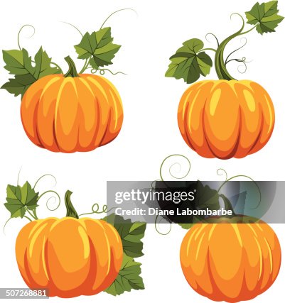 Fall Pumpkins Set Fall Pumpkins Set