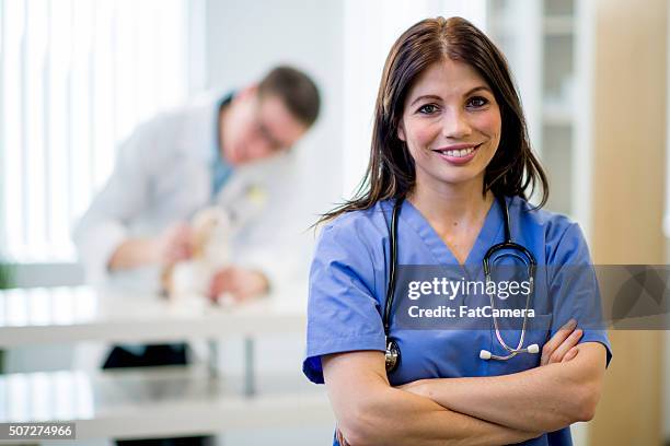 personal de enfermería sonriente en el trabajo - animal joven fotografías e imágenes de stock