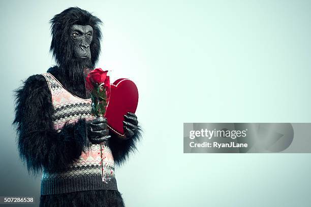 gorilla mann mit valentinstag geschenke - valentine monkey stock-fotos und bilder