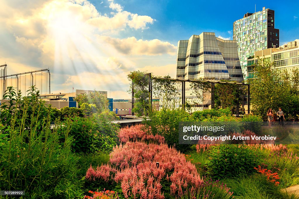 High Line Park in the summer, New York