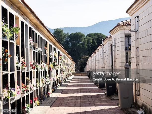 general sight of the tombs of a cemetery a sunny day - general cemetery stock pictures, royalty-free photos & images