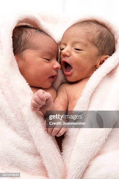 newborn babies - twins stock pictures, royalty-free photos & images