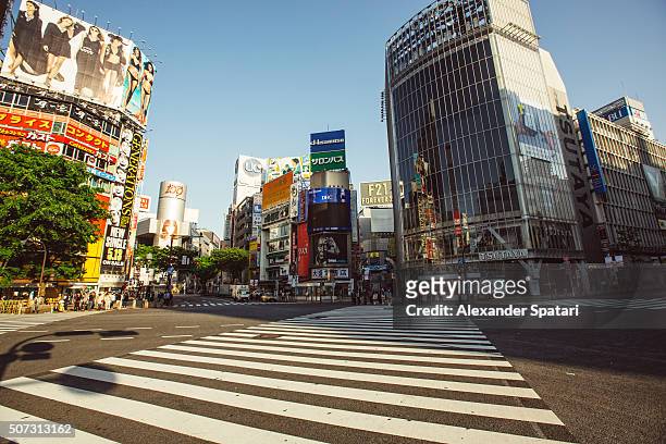 empty shibuya crossing in the morning, tokyo, japan - distrito de shibuya fotografías e imágenes de stock