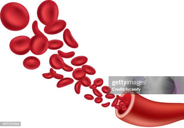 stockillustraties, clipart, cartoons en iconen met red blood cell - red blood cells