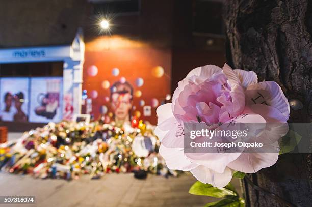 Flowers, letters and other tributes left on a mound continue to grow two weeks after the death of Brixton born English singer, songwriter David Bowie...