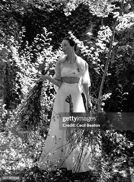 The Duchess of Windsor wearing a white dress with painted design on the skirt, standing and holding bundles of flowered twigs in the garden of the...