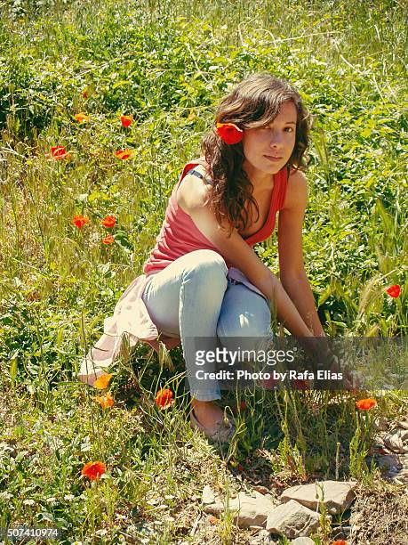 pretty woman in nature with poppies - desarraigado fotografías e imágenes de stock