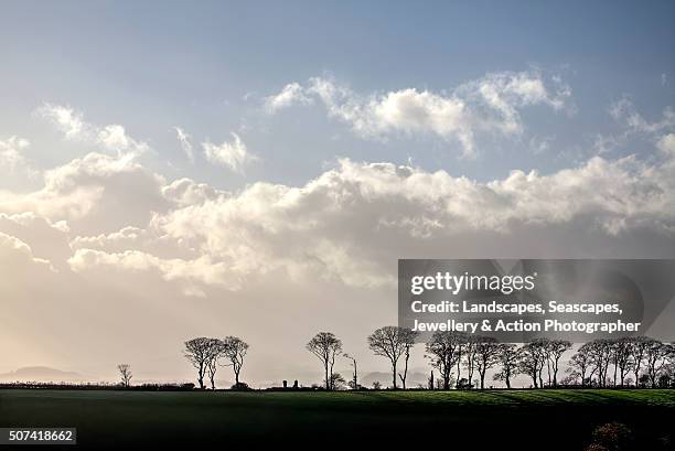 Devan Rudge 40 Devon Ridge Stock Photos, High-Res Pictures, and Images - Getty Images