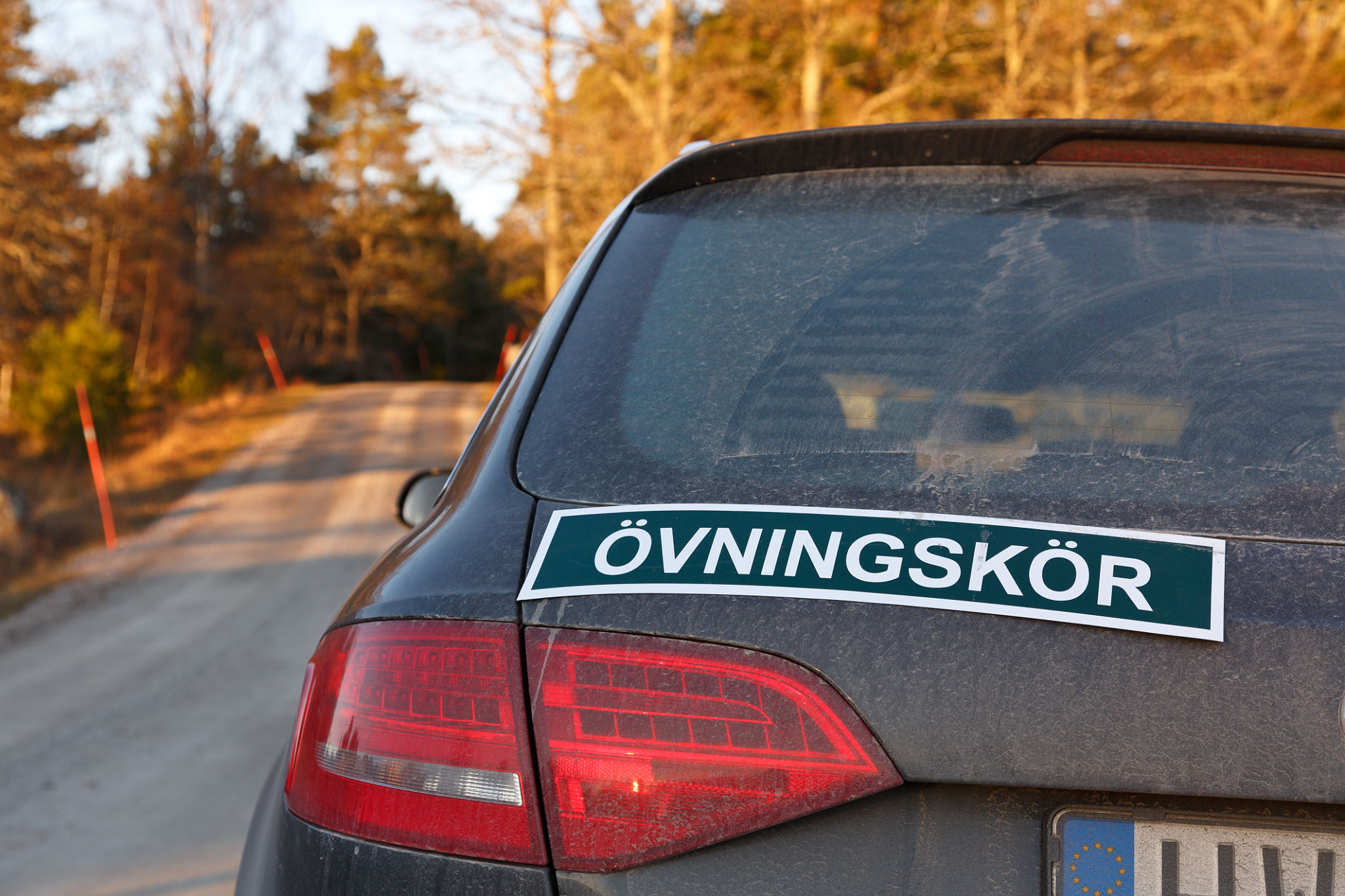 driving school sign