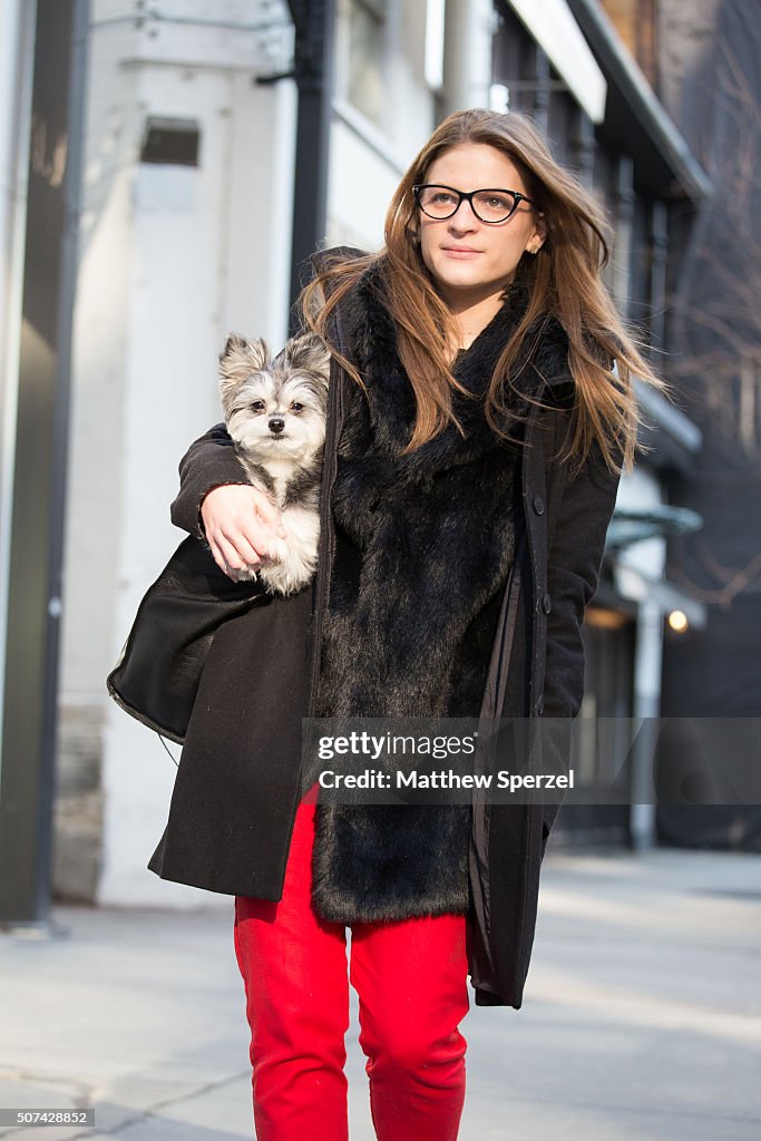 Street Style - Chicago - January 2016