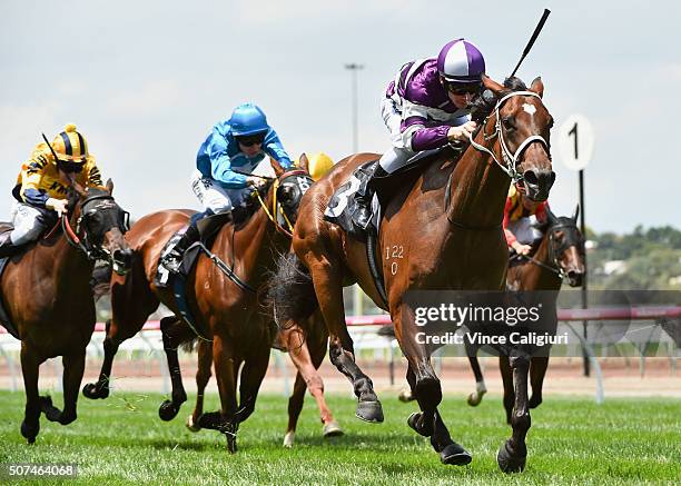 Ben Melham riding All Cerise wins Race 3 during Melbourne Racing at Flemington Racecourse on January 30, 2016 in Melbourne, Australia.