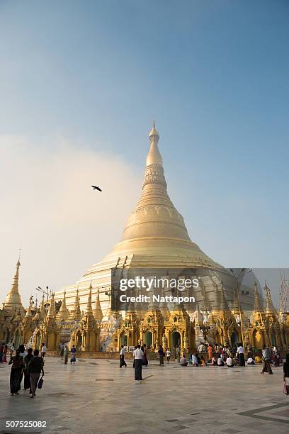 buddhist novice in myanmar - shwedagon pagoda stock pictures, royalty-free photos & images