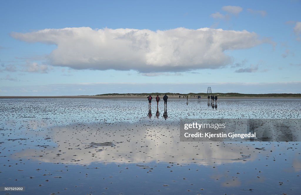 Mudflat hiking in the Wadden Sea