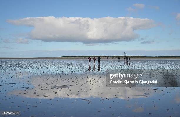 mudflat hiking in the wadden sea - mar de wadden fotografías e imágenes de stock