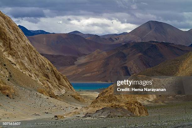 pangong tso lake - hema narayanan fotografías e imágenes de stock