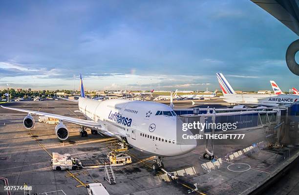 ルフトハンザドイツ航空のボーイング 747-8 は、タンボ空港 - orタンボ国際空港 ストックフォトと画像