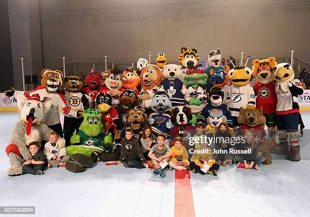 The mascots pose for a group picture during the NHL Mascot Showdown during day two of the 2016 NHL All-Star NHL Fan Fair at the Music City Center on...