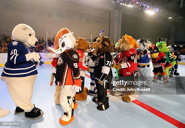 The mascots shake hands after participating in the NHL Mascot Showdown during day two of the 2016 NHL All-Star NHL Fan Fair at the Music City Center...