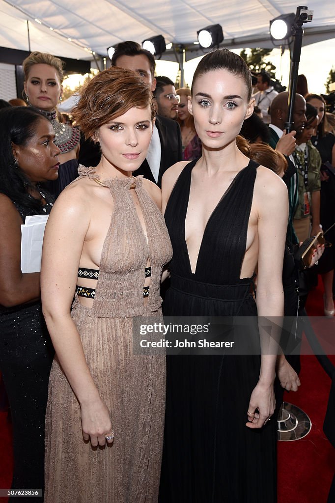 22nd Annual Screen Actors Guild Awards - Red Carpet