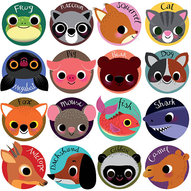 animals symbol collection. - zoo art stock illustrations