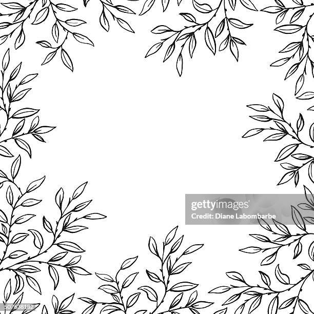 hand drawn leaves vines frame - vine stock illustrations