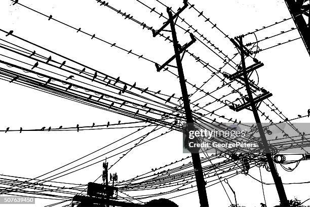 large group of birds on a tangle of wires - telephone line stock illustrations