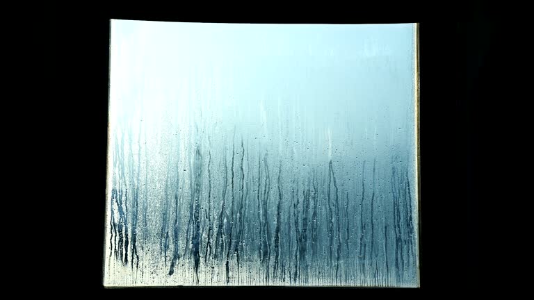 Lapse Window 230 Frozen Window Texture Stock Videos, Footage, & 4K Video Clips ...