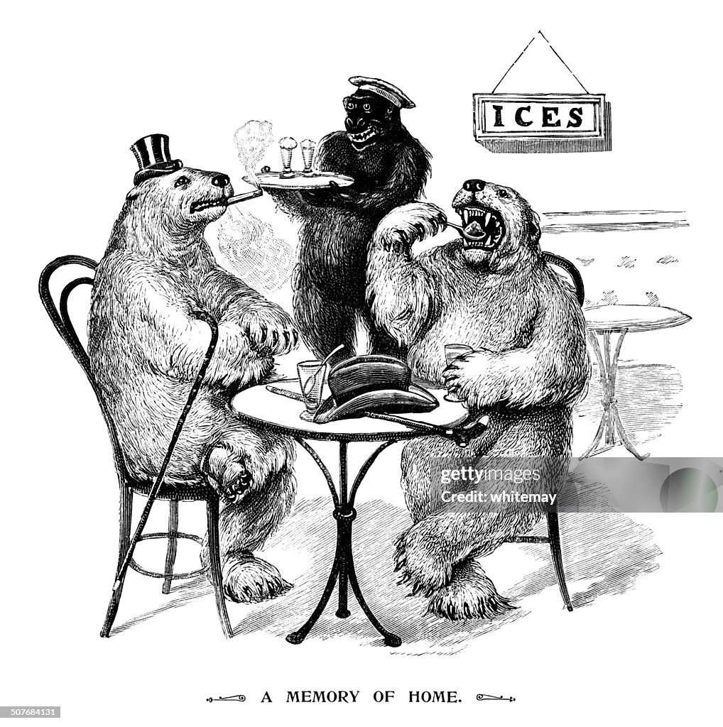 Polar bears eating ice creams