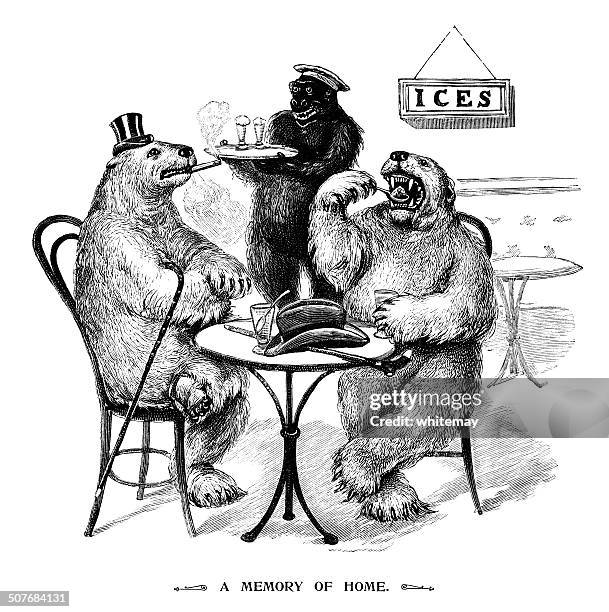 polar bears eating ice creams - funny polar bear stock illustrations